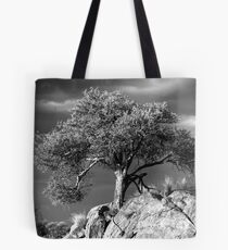 Acacia Tree, Namibia Tote Bag