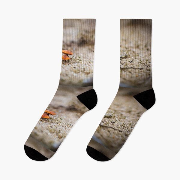 Item preview, Mushrooms in the sand designed and sold by Arc1.