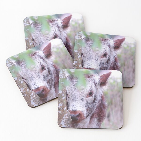 Item preview, “ Bashful Calf “  designed and sold by Richard Couchman.