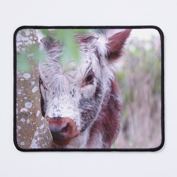 Item preview, “ Bashful Calf “  designed and sold by Richard Couchman.