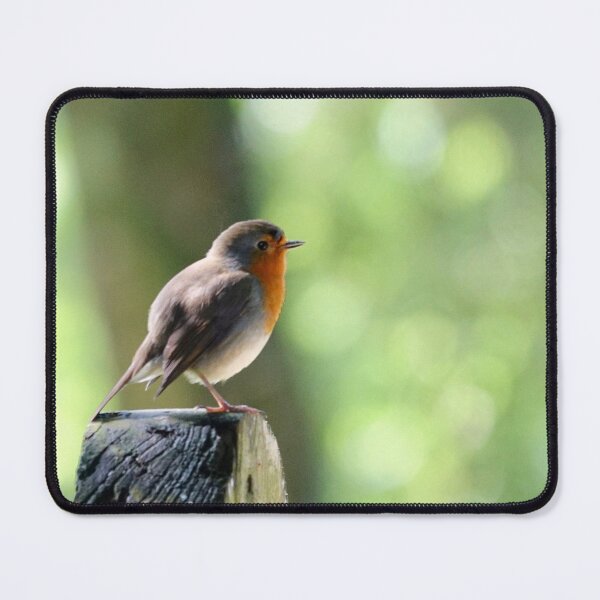 Item preview, “ Robin In Backlight “ designed and sold by Richard Couchman.