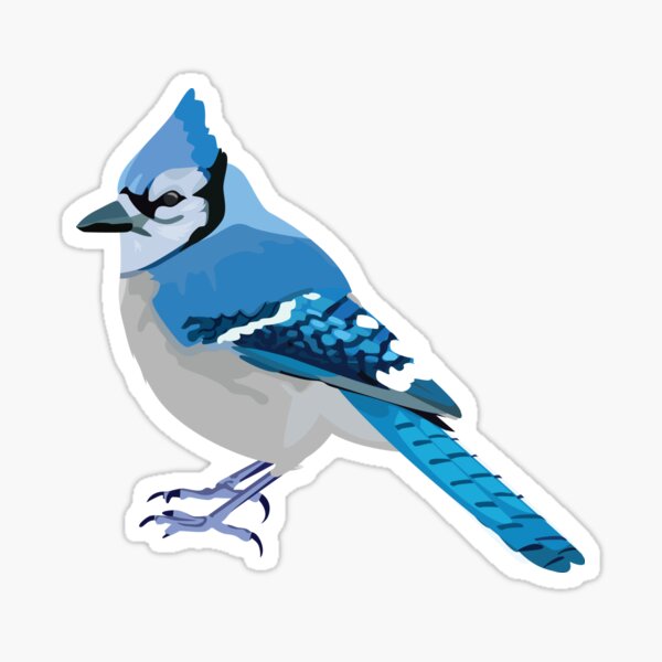 Blue Jay Sticker for Sale by ollie-shop