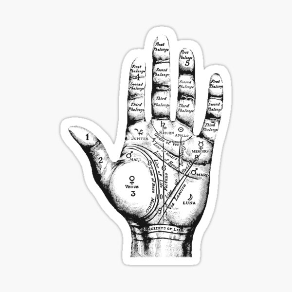 Palm Reading chart Sticker