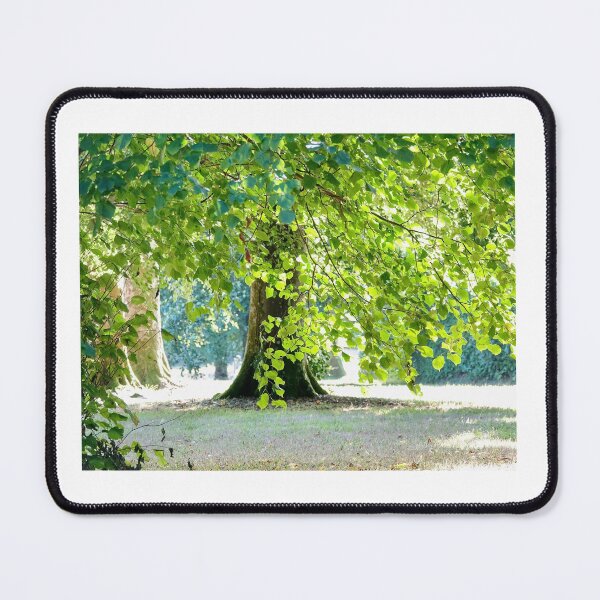 Item preview, “ Canopy Of Life “ designed and sold by Richard Couchman.