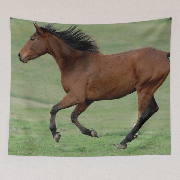 Item preview, Galloping horse designed and sold by Yuna26.