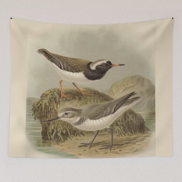 Item preview, Plovers Playtime designed and sold by BeaverHeaven.