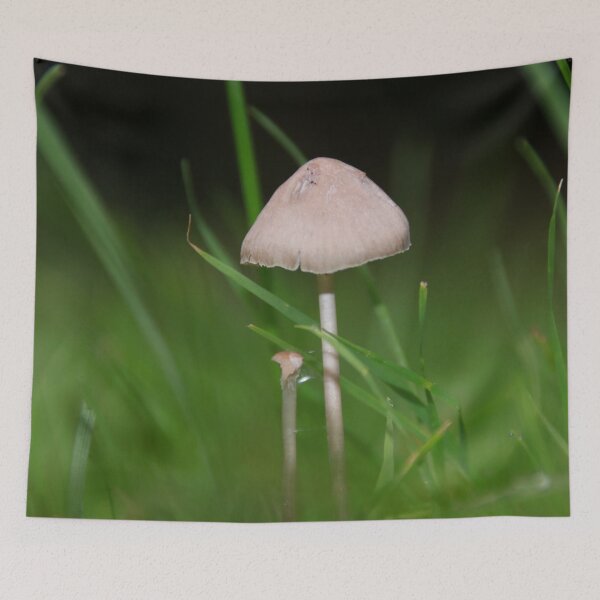 Item preview, Lawn Fungi designed and sold by AnnDixon.