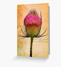 The Teasel Greeting Card