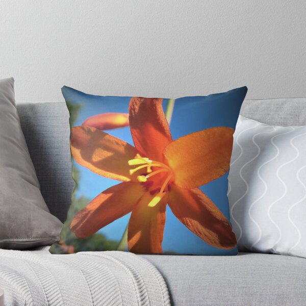 Item preview, orange star designed and sold by Tjb62.