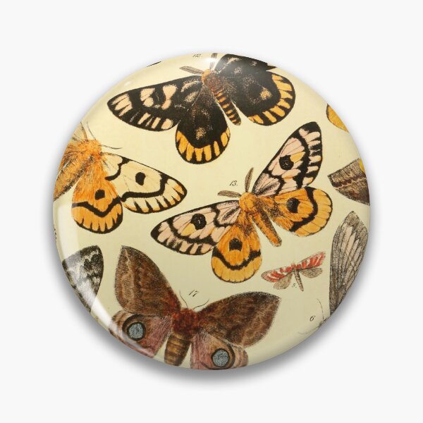 Aperçu de l'œuvre Papillons Vintage créée et vendue par AlleghenyDesign.