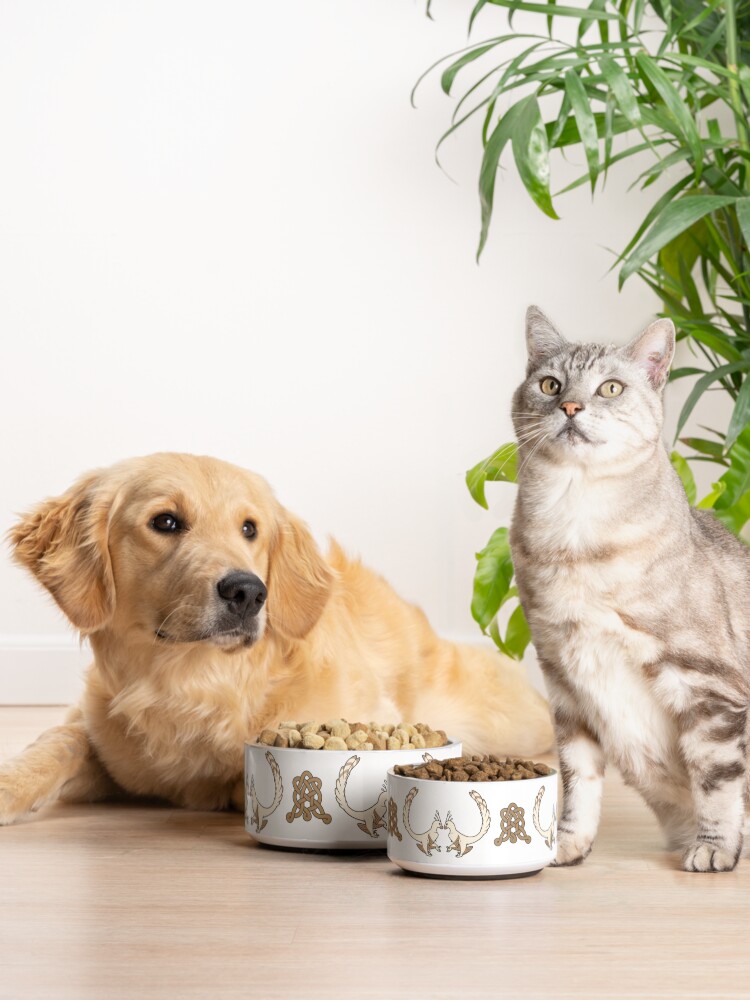 Alternate view of Fancy Raptors Pet Bowl