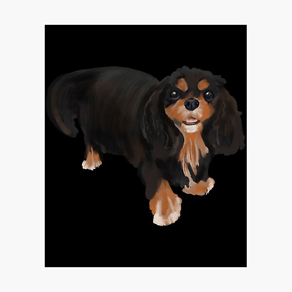 Item preview, Portrait of Allie the Cavalier Classic  designed and sold by azimadorkat4.