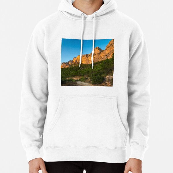Hoodie (Pullover)