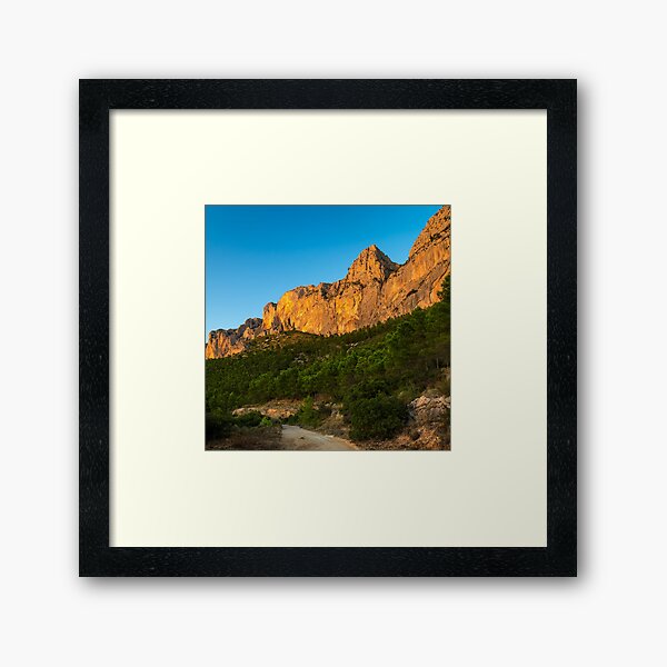 Framed Print
