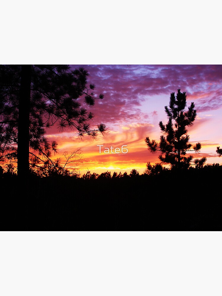 Cotton Candy Sky by Tate6