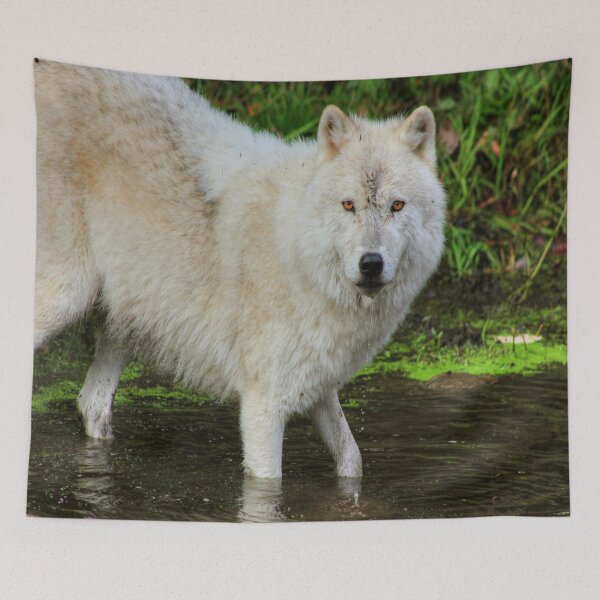 Item preview, Seen You designed and sold by Vicki Spindler (VHS Photography).