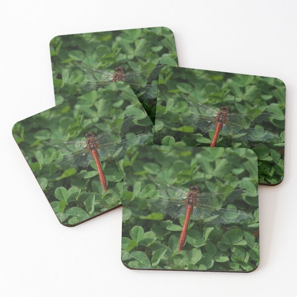 Item preview, Dragonfly designed and sold by Nicole Gath.