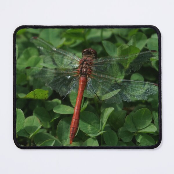Item preview, Dragonfly designed and sold by Nicole Gath.