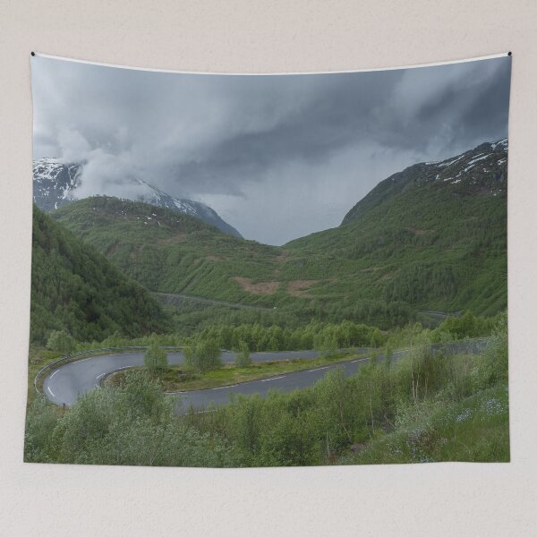 Item preview, Wonderful landscapes in Norway. Vestland. Beautiful scenery of houses with grass roof. Norwegian traditional architecture Mountains, trees and snow in background. Cloudy day designed and sold by Maurizio Fabbroni.