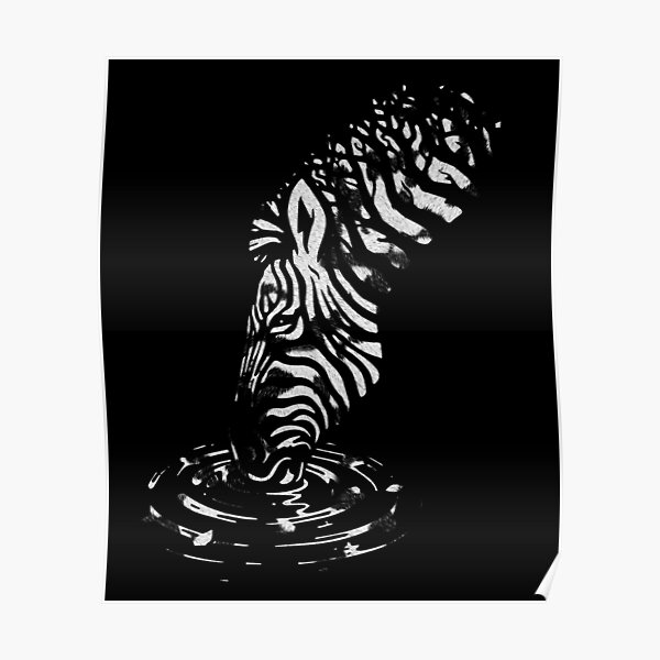 "Zebra Best Animal Art" Poster for Sale by hiphopart Redbubble