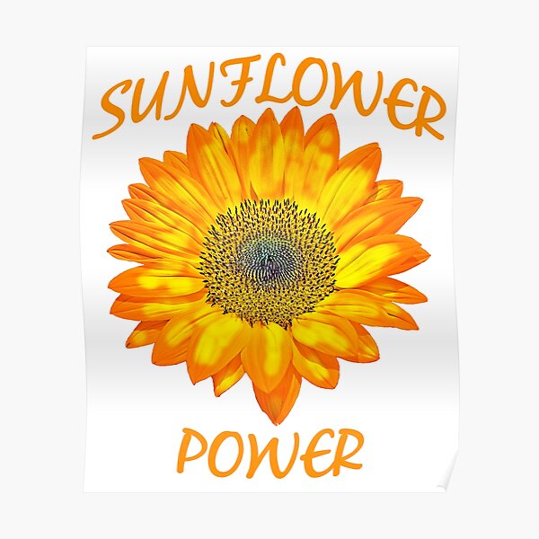 "Sunflower Power" Poster for Sale by bchambers1 Redbubble