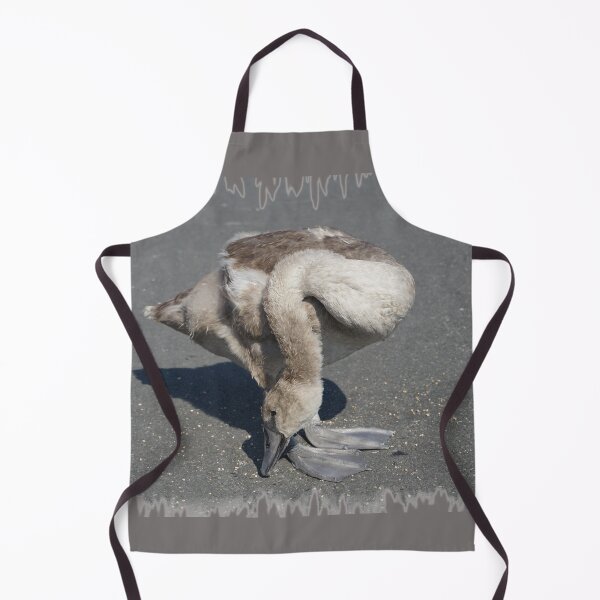 Item preview, Baby Swan (Cygnet) designed and sold by Nicole Gath.