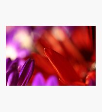 flower abstract Photographic Print