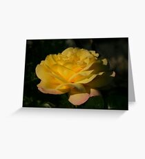 bright Greeting Card