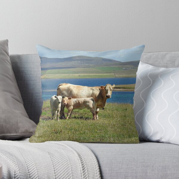 Hoy High Lighthouse and cows Orkney Throw Pillow