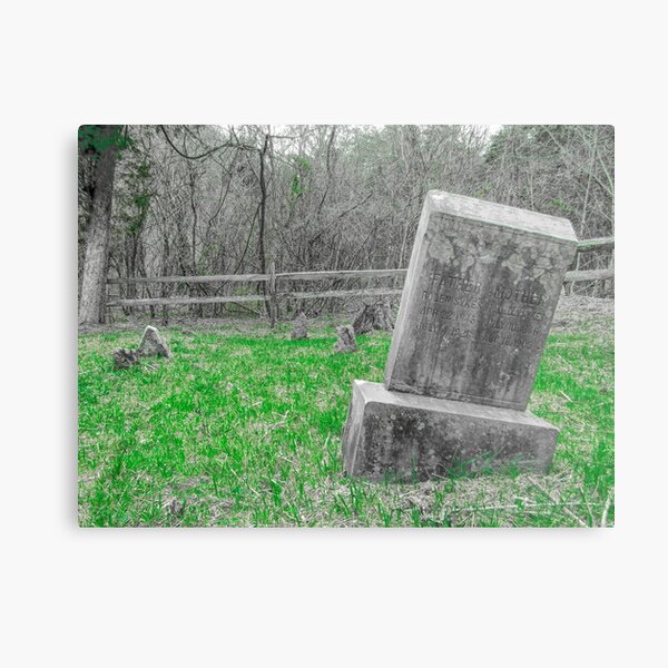 Father Mother Metal Print