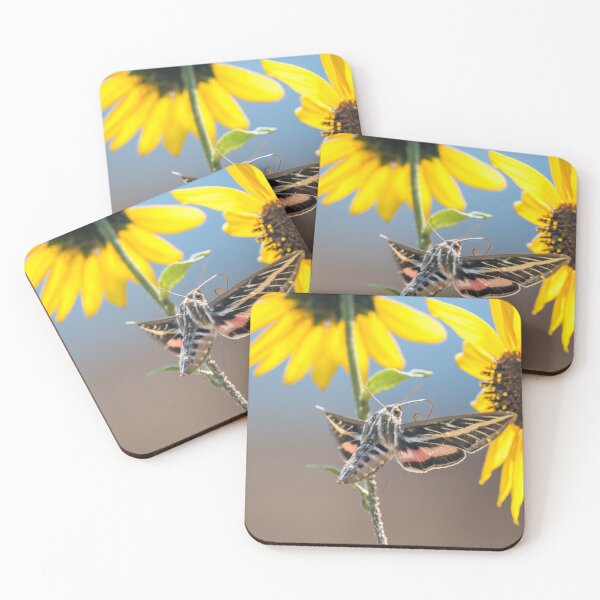 Item preview, White-Lined Sphinx Moth designed and sold by Debra Martz.