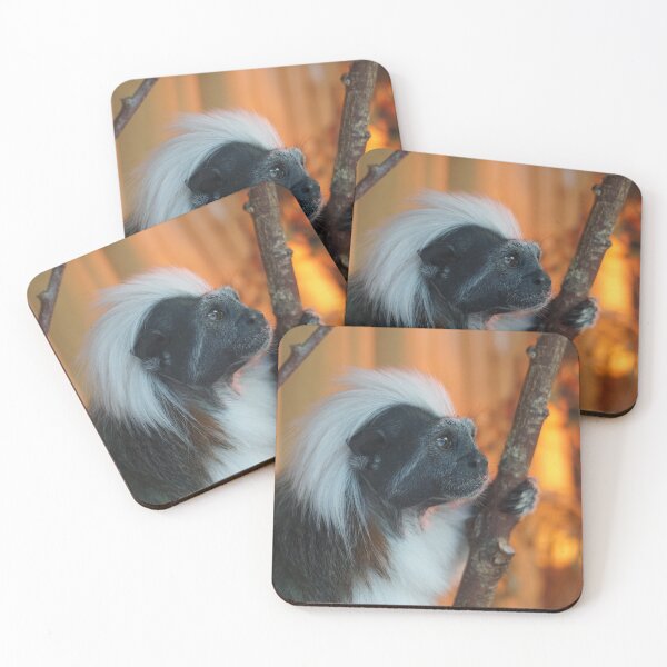 Item preview, Cotton - Top Tamarin designed and sold by Nicole Gath.
