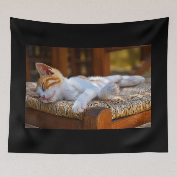Item preview, Orange baby cat | wildlife photography designed and sold by Mii-pics.