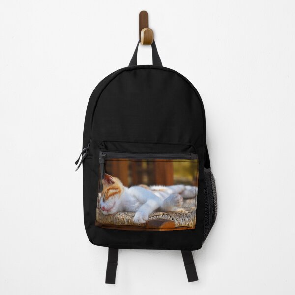 Item preview, Orange baby cat | wildlife photography designed and sold by Mii-pics.
