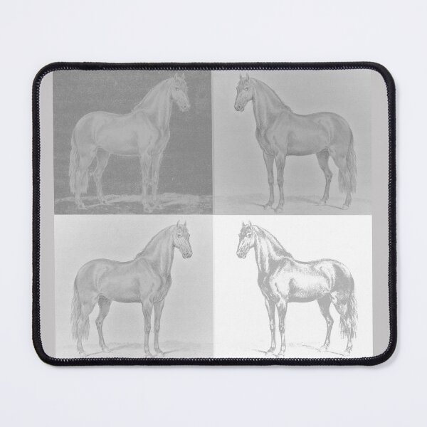 Item preview, Have Appetite for Life, Monsieur de Guille Horse, Philip Christian Haag, Grey White designed and sold by SpiritGifts.