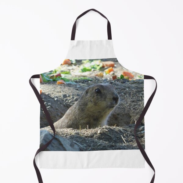 Item preview, Timid Stare designed and sold by Izayo-Darke1.