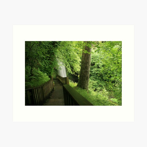 Glencar waterfall Art Print