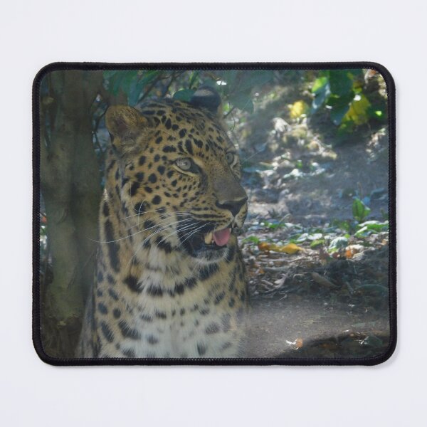 Item preview, Leopard designed and sold by Izayo-Darke1.