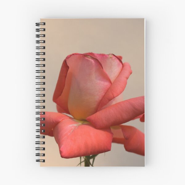 Item preview, open rose designed and sold by Mariel Angel GJ.