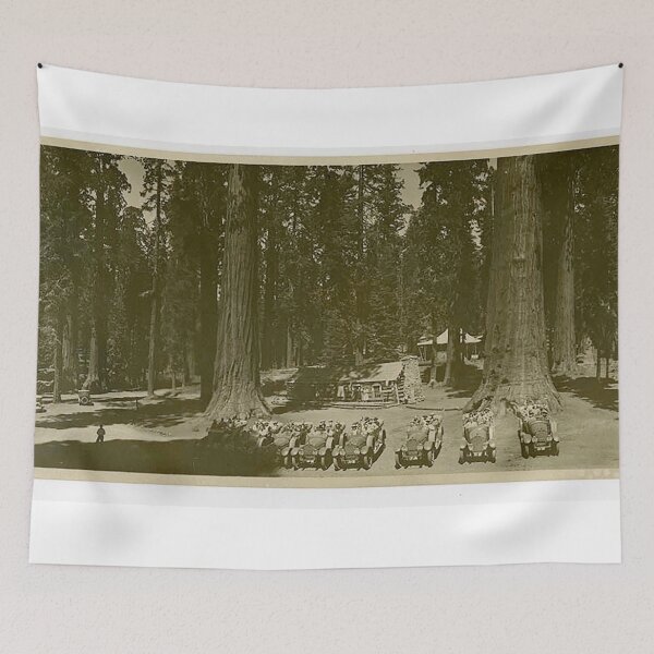 Item preview, Clarks Station , Mariposa Grove designed and sold by Night-parade.
