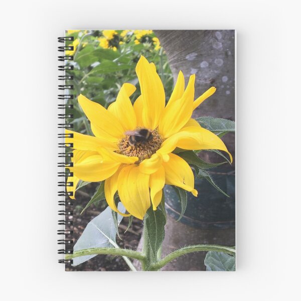 Item preview, Pollination  designed and sold by DLtP17.