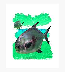 License to Fish Photographic Print