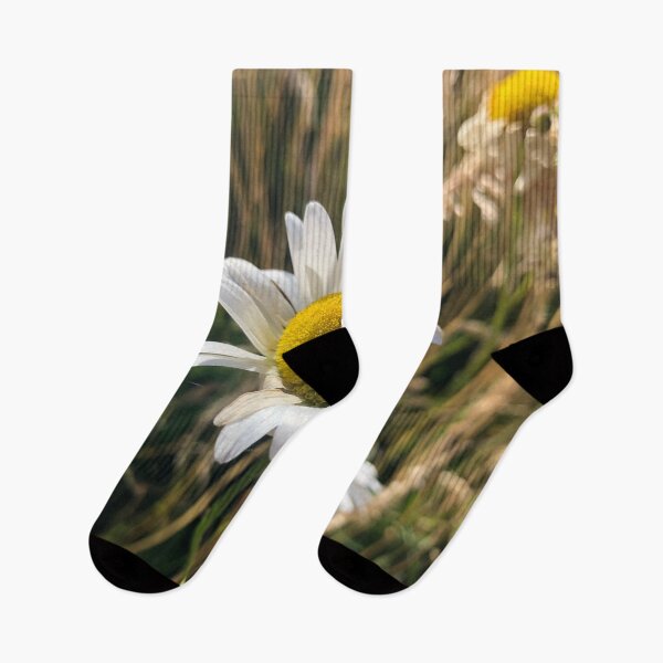 Item preview, Daisy of Integrity and Truth designed and sold by Photomersion.