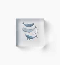 Whales are everywhere Acrylic Block