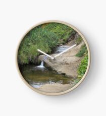 Stream at Canon Beach Clock