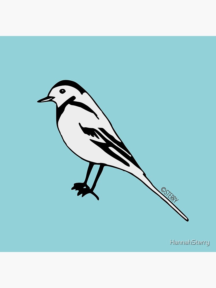 Pied Wagtail - Bird Illustration by HannahSterry