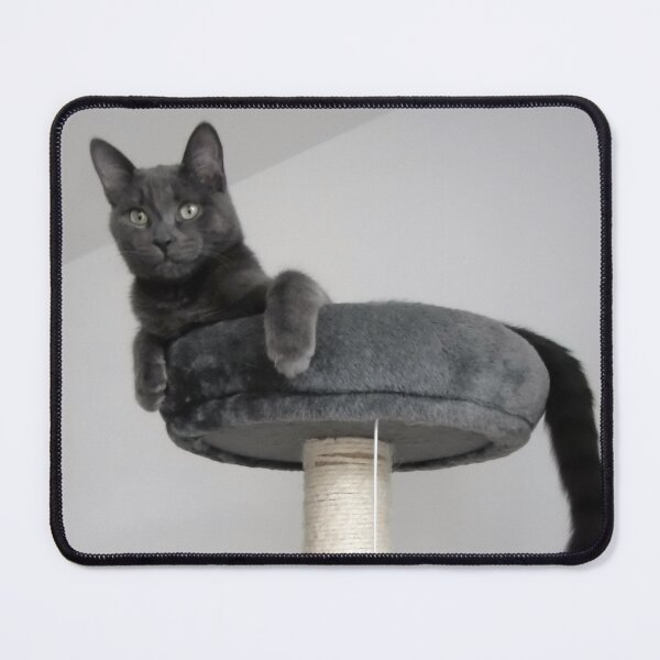 Item preview, The cat and the Mouse designed and sold by ART22.
