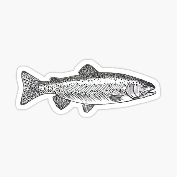 Fish Tattoo Trout Vector Images over 190