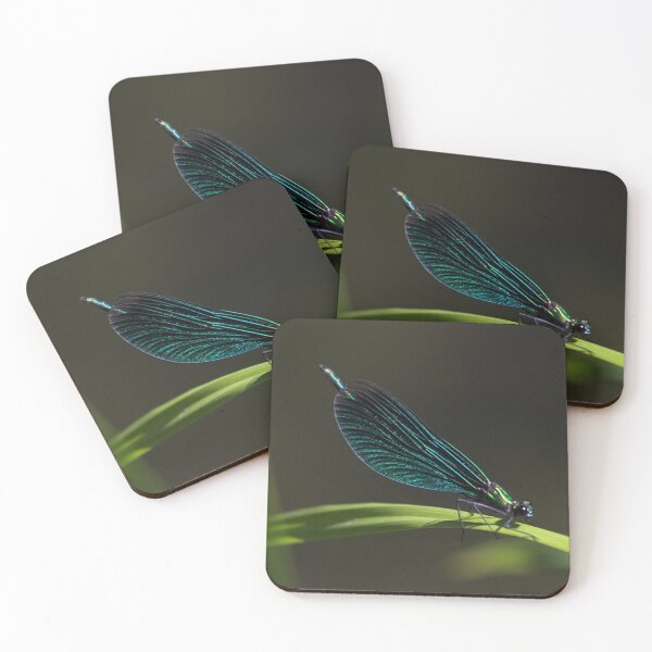 Item preview, Calopteryx virgo designed and sold by Mythos57.