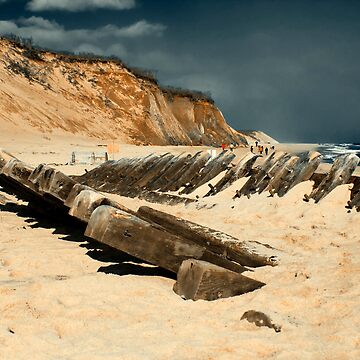 Cape Cod and the Islands Shipwrecks